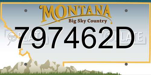 797462D Montana License Plate