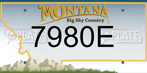 7980E Montana License Plate