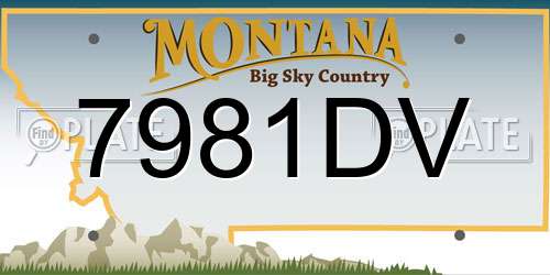 7981DV Montana License Plate
