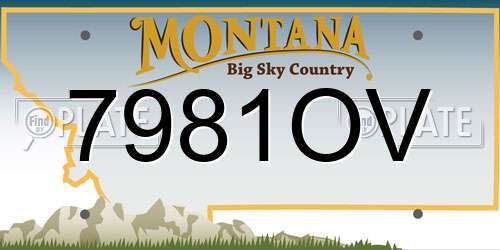 7981OV Montana License Plate