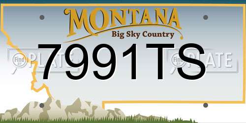 7991TS Montana License Plate