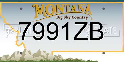 7991ZB Montana License Plate