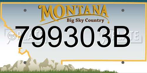799303B Montana License Plate