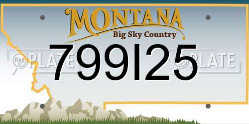 799I25 Montana License Plate