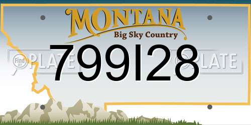 799I28 Montana License Plate