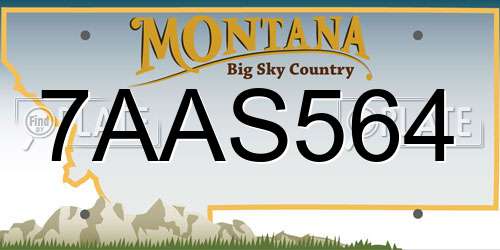 7AAS564 Montana License Plate