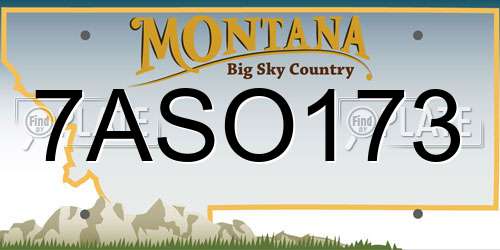 7ASO173 Montana License Plate