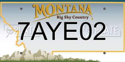 7AYE02 Montana License Plate