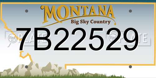 7B22529 Montana License Plate