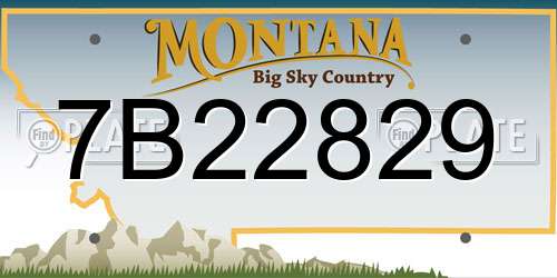 7B22829 Montana License Plate
