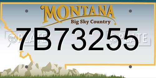 7B73255 Montana License Plate