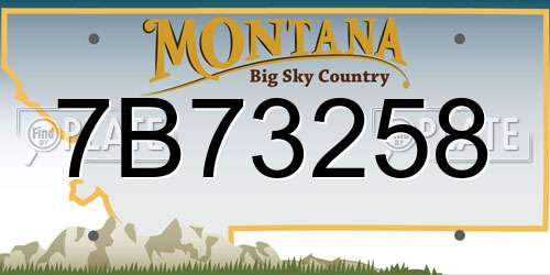 7B73258 Montana License Plate