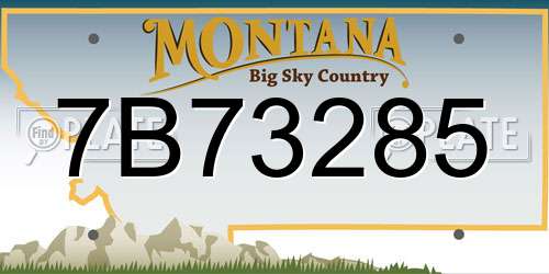 7B73285 Montana License Plate