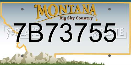 7B73755 Montana License Plate