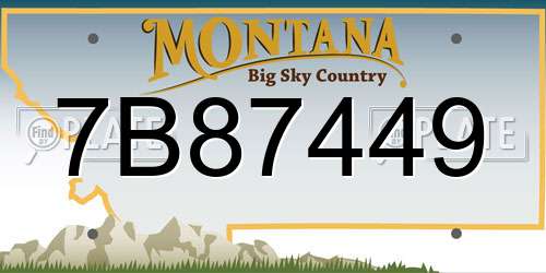 7B87449 Montana License Plate