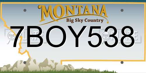 7BOY538 Montana License Plate