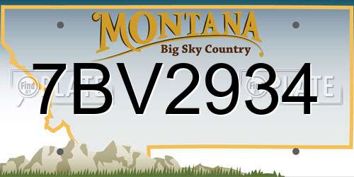 7BV2934 Montana License Plate