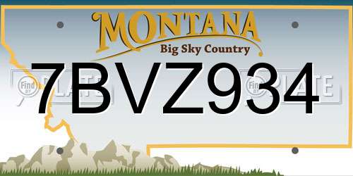 7BVZ934 Montana License Plate