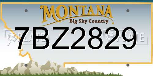 7BZ2829 Montana License Plate