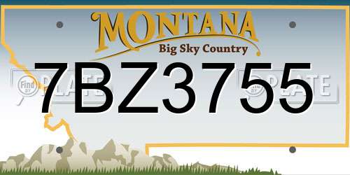 7BZ3755 Montana License Plate