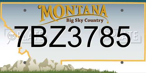 7BZ3785 Montana License Plate