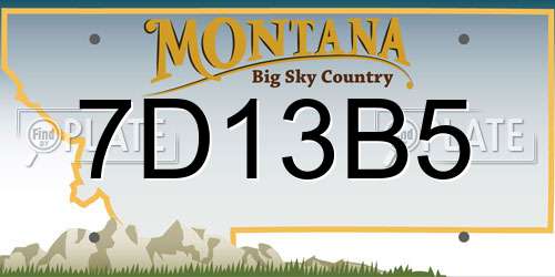 7D13B5 Montana License Plate