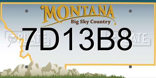 7D13B8 Montana License Plate