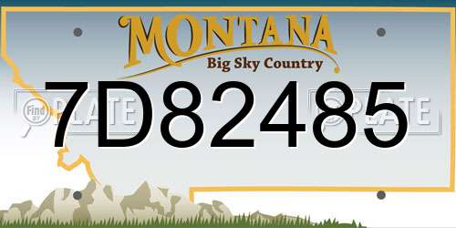 7D82485 Montana License Plate