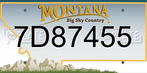 7D87455 Montana License Plate