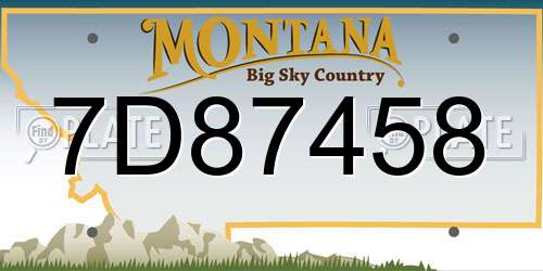 7D87458 Montana License Plate