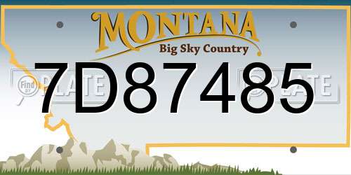 7D87485 Montana License Plate