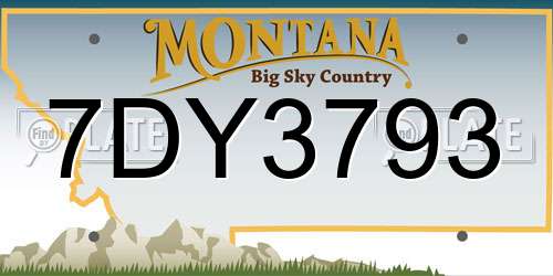 7DY3793 Montana License Plate