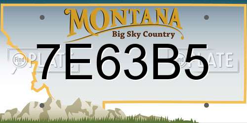 7E63B5 Montana License Plate