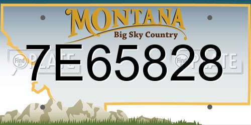 7E65828 Montana License Plate