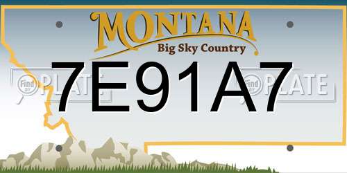 7E91A7 Montana License Plate