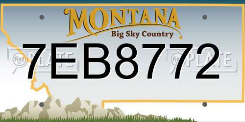 7EB8772 Montana License Plate