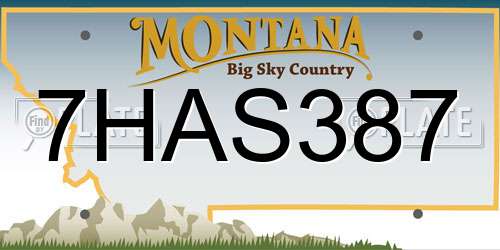 7HAS387 Montana License Plate