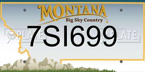 7SI699 Montana License Plate