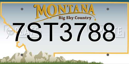 7ST3788 Montana License Plate