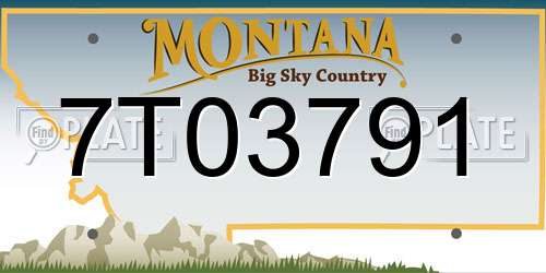 7T03791 Montana License Plate