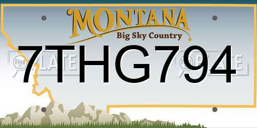 7THG794 Montana License Plate