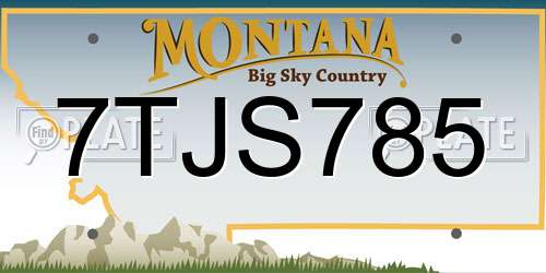 7TJS785 Montana License Plate