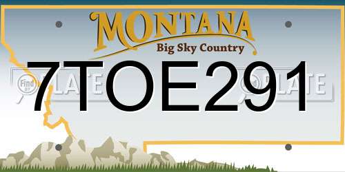 7TOE291 Montana License Plate