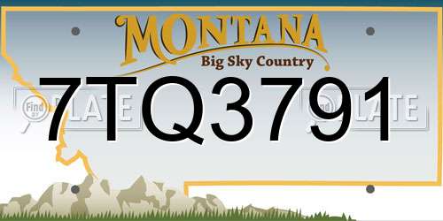7TQ3791 Montana License Plate