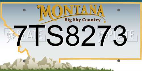 7TS8273 Montana License Plate