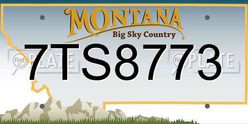 7TS8773 Montana License Plate
