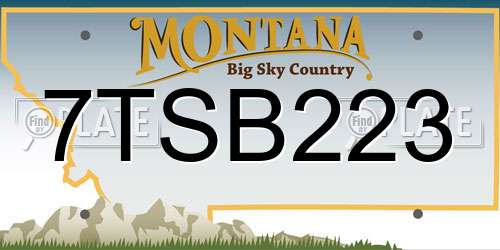 7TSB223 Montana License Plate