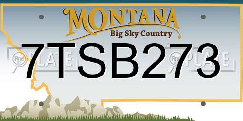 7TSB273 Montana License Plate
