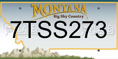 7TSS273 Montana License Plate