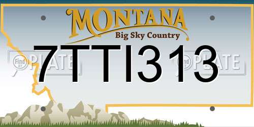 7TTI313 Montana License Plate